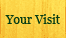 Your Visit